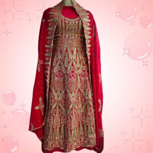 Red Embroidered Shaffon Frock