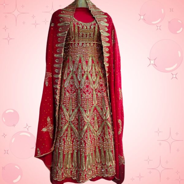 Red Embroidered Shaffon Frock