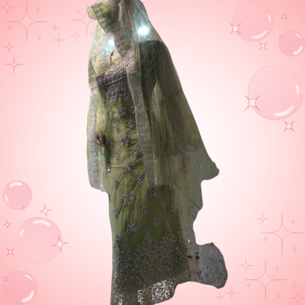 Elegant Light Green Embroidered Net Frock Set